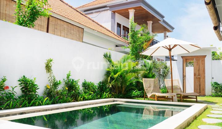 Ready Villa For Rent 1 Bedroom At Seseh Bali Ready Villa For Rent 1 Bedroom At Seseh Bali
