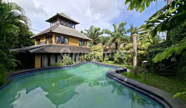 Beautyfull And Big Garden Villa Ready For Sale In Balangan