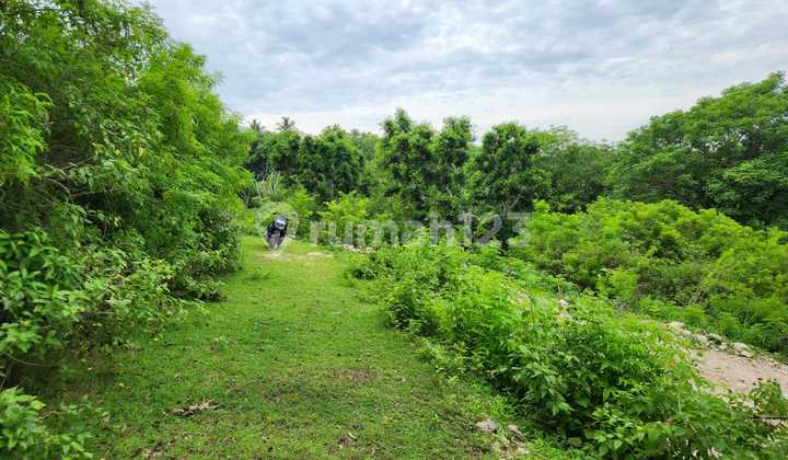 Lahan Premium Full View Siap Bangun di Nusa Penida Bali Lahan Premium Full View Siap Bangun di Nusa Penida Bali