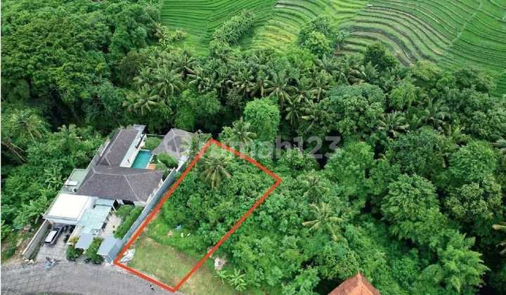 Premium Land Ready to Build in Kedungu Bali at a Bargain Price