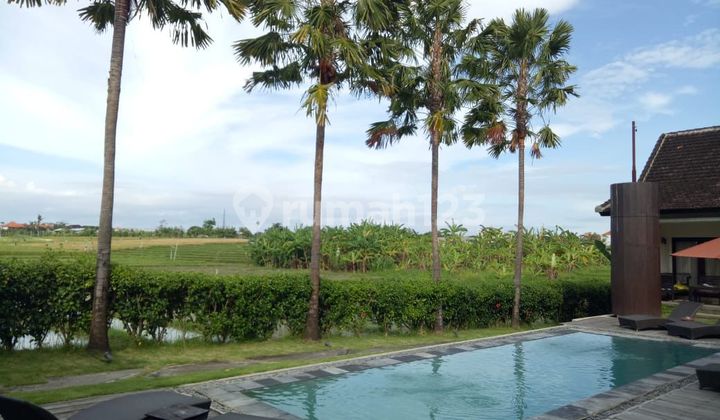 Ready For Sale Beautiful Spacious Villa Ready to Generate Profit in Canggu Bali