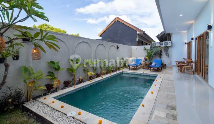 Brand New Guest House 8 B R Ready For Rent In Ungasan Bali Brand New Guest House 8 B R Ready For Rent In Ungasan Bali