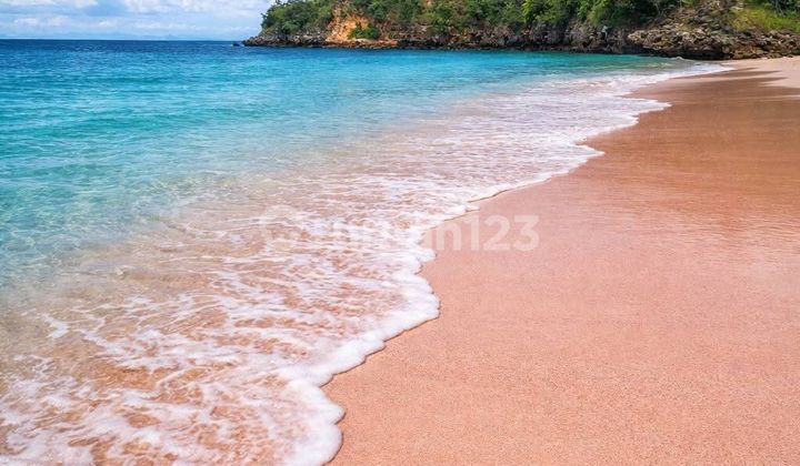 Ready For Sale Premium Beach Front Land In Pink Beach Lombok