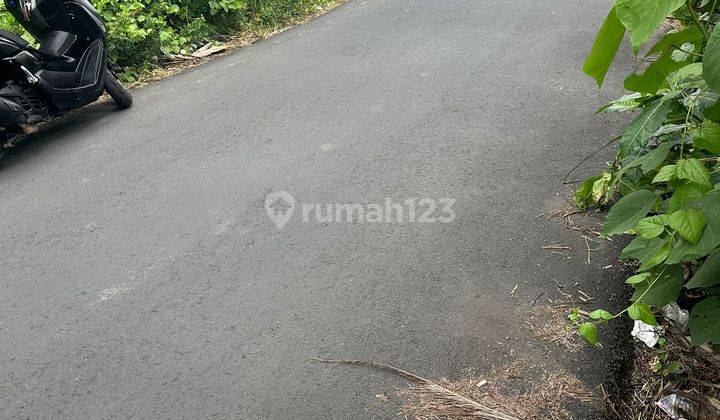 Premium Land Ready to Build Villa Environment in Padonan Canggu Bali 2