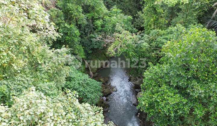 Ready For Sale Premium Land In Gianyar Bali Ready For Sale Premium Land In Gianyar Bali