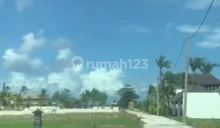 Premium Land Ready to Build Pink Zone in Beraban, Tabanan, Bali