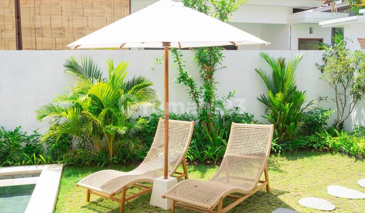 Ready Villa For Rent 1 Bedroom At Seseh Bali Ready Villa For Rent 1 Bedroom At Seseh Bali
