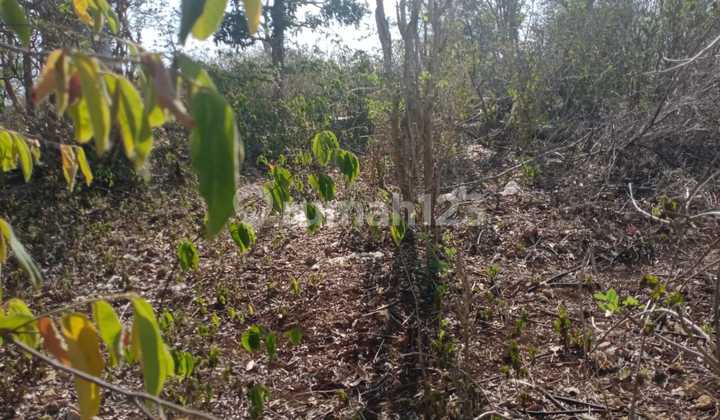 Ready For Sale Premium Land In Balangan Badung Bali Ready For Sale Premium Land In Balangan Badung Bali