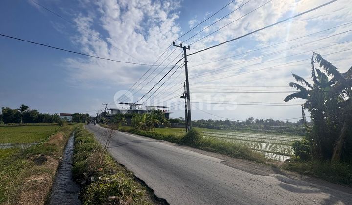 Premium Land Ready For Sale In Nyanyi