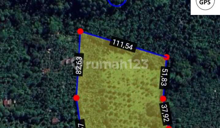 Ready For Sale Lahan Kebun di Buleleng Bali