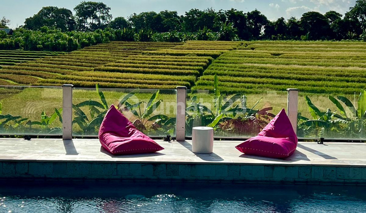 Ready For Rent Beautyfull Villa With Ricefield View At Buduk Bali Ready For Rent Beautyfull Villa With Ricefield View At Buduk Bali