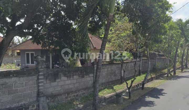 Disewakan Jangka Panjang Or Leasehold Lahan Premium Di Canggu