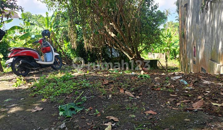 Ready For Sale Land Selingsing Cepaka Dekat Munggu