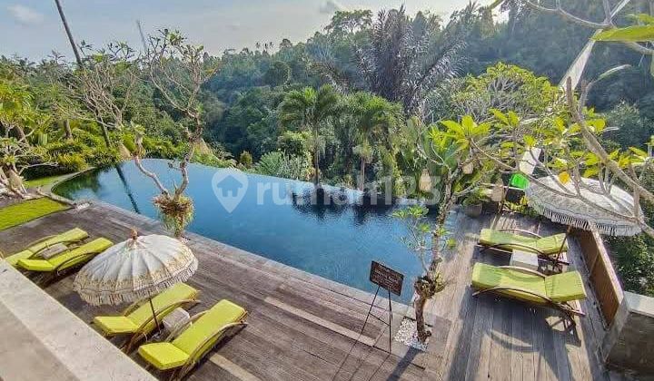 Beautyfull Villa Complex Ready For Sale In Ubud Bali Beautyfull Villa Complex Ready For Sale In Ubud Bali