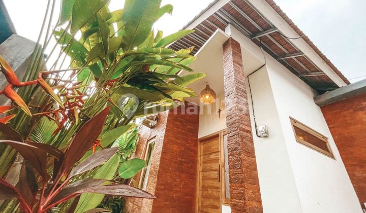 Di Jual Rumah Minimalis 1 Lantai Berlokasi Buduk Di Jual Rumah Minimalis 1 Lantai Berlokasi Buduk