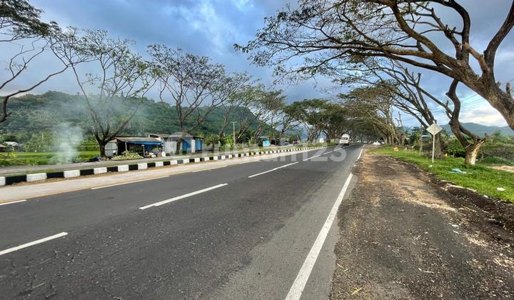 Lahan Premium Siap Bangun di By Pass Ngurah Rai Kusamba Lahan Premium Siap Bangun di By Pass Ngurah Rai Kusamba