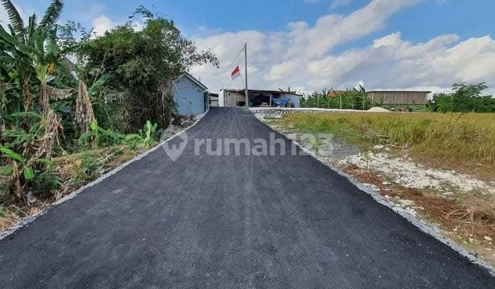 Lahan Premium Siap Bangun Rready For Freehold Or Leasehold In Canggu Bali Lahan Premium Siap Bangun Rready For Freehold Or Leasehold In Canggu Bali