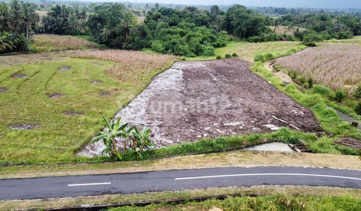 Premium Land Ready to Build in Pink Zone, Beraban, Tabanan, Bali