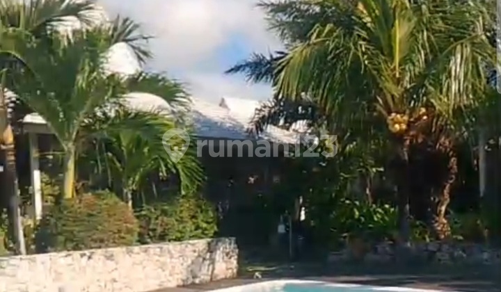 Ready For Sale Beach Front Hotel In Nusa Lembongan Bali Ready For Sale Beach Front Hotel In Nusa Lembongan Bali