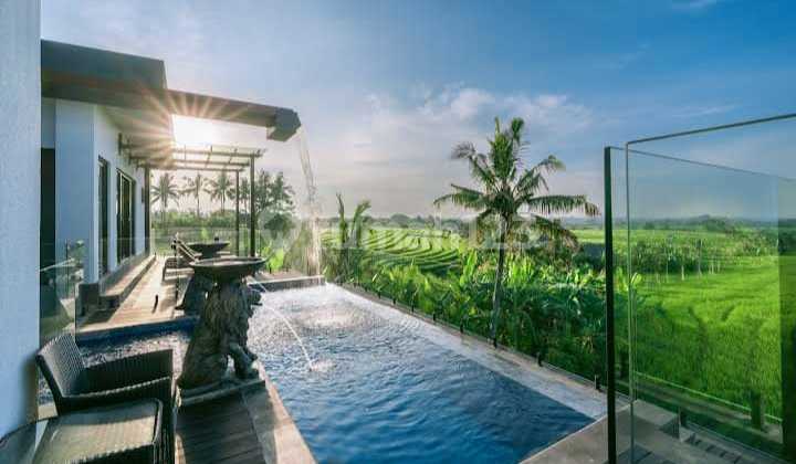 Beautiful And Luxury Villa For Sale In Tabanan Bali With Rice Field View Beautiful And Luxury Villa For Sale In Tabanan Bali With Rice Field View
