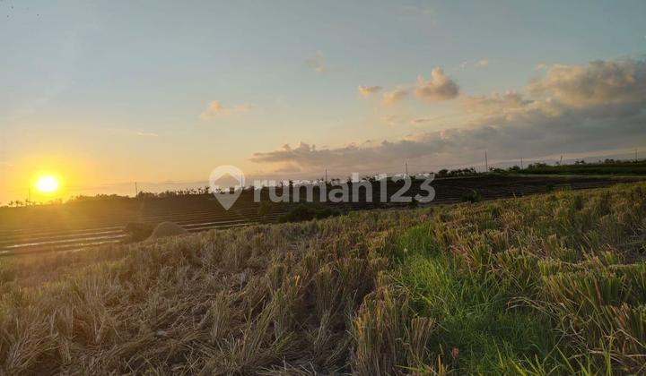 Premium Beachfront Land in Kelating, Tabanan, Bali