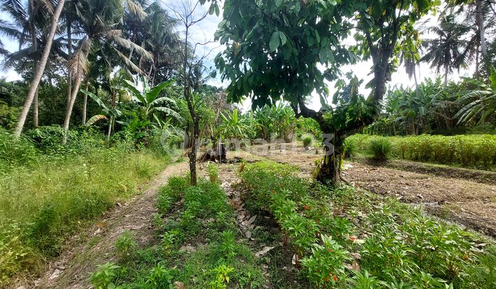 Premium Ready-to-Build Land in Kedungu