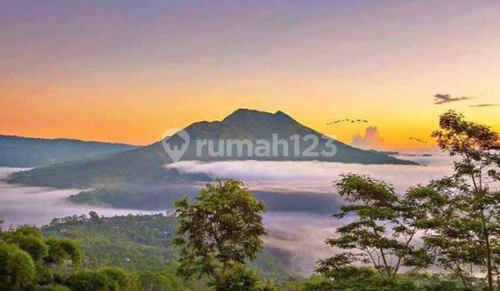 Lahan Bagus Untuk Investasi Jangka Panjang Di Kintamani SHM 1
