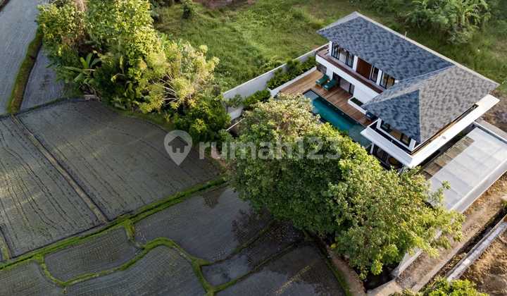 Villa 3 Kamar Siap Disewa dengan Pemandangan Sawah
