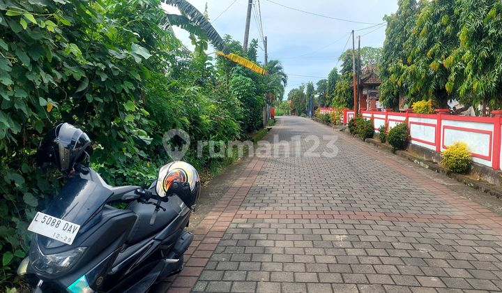 Lahan Premium Murah Siap Bangun di Kelating Tabanan Bali Lahan Premium Murah Siap Bangun di Kelating Tabanan Bali