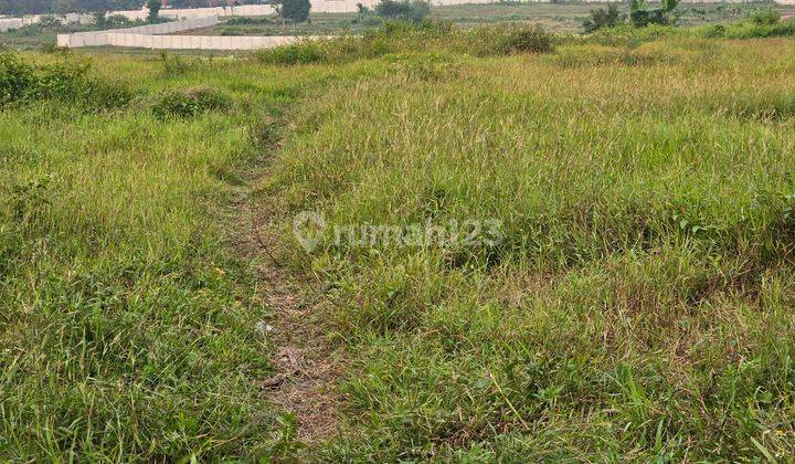 Dijual Tanah Dipinggir Jalan Raya Cikande Rangkasbitung Banten 2