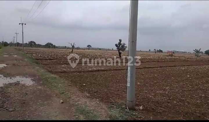 Jual Tanah Siap Bangun dekat Bandara dan Tol Kertajati Majalengka