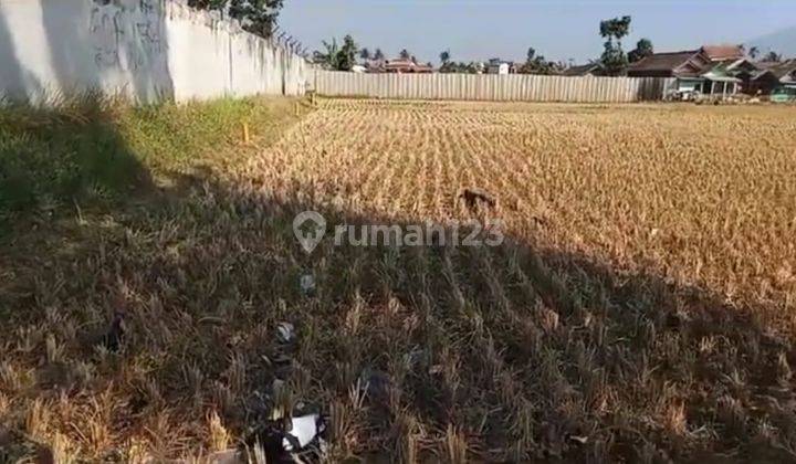 Tanah Murah Luas di Cicalengka Cijapati Majalaya Bandung 1