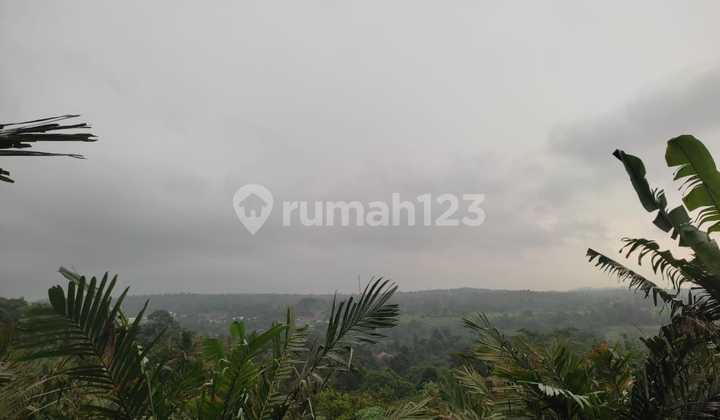 Jual Tanah Luas Murah di Subang Mainroad Jual Tanah Luas Murah di Subang Mainroad