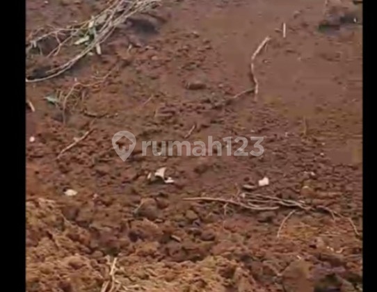 Land for Sale in Tengkulak Gianyar Ubud Bali