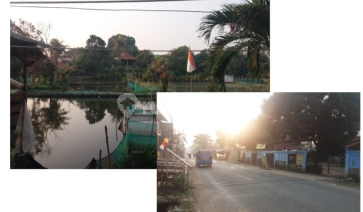 Jual Tanah + Empang Strategis Usaha di Parung Bogor Jual Tanah + Empang Strategis Usaha di Parung Bogor