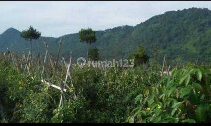 Tanah Luas Murah di Cibodas Maribaya Lembang Bandung 2