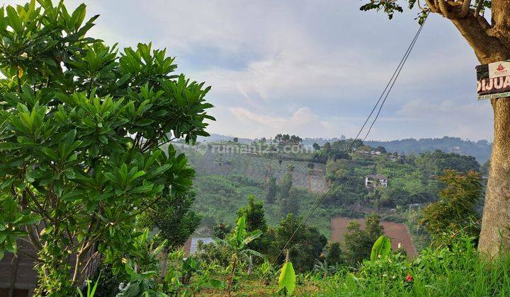 Kavling Murah Nice View Untuk Villa di Buniwangi Dago Bandung 2