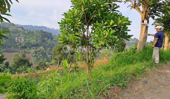 Kavling Murah Nice View Untuk Villa di Buniwangi Dago Bandung 1