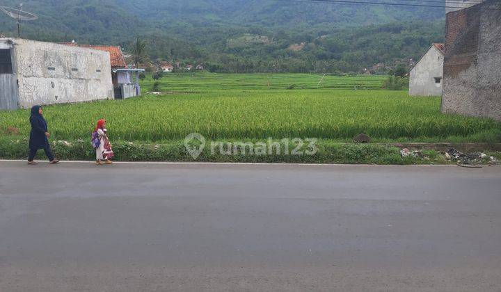 Tanah Sawah Murah Strategis di Bojong Pasir Jambu Garut Kota 1