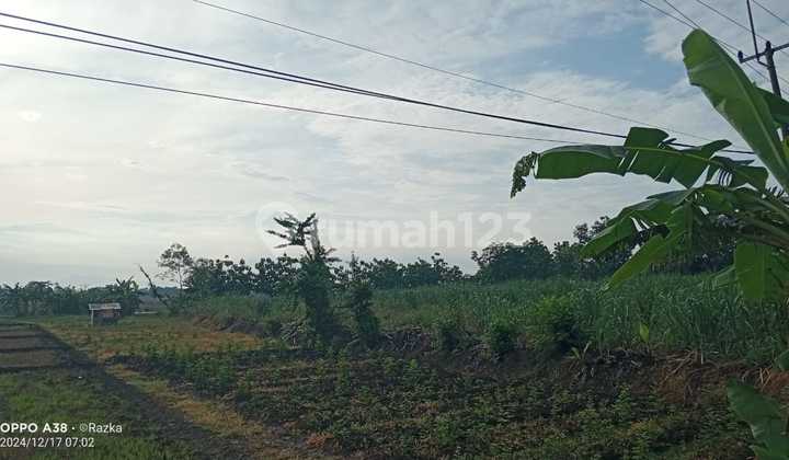 Jual Tanah Murah strategis Bangun usaha di Majalengka