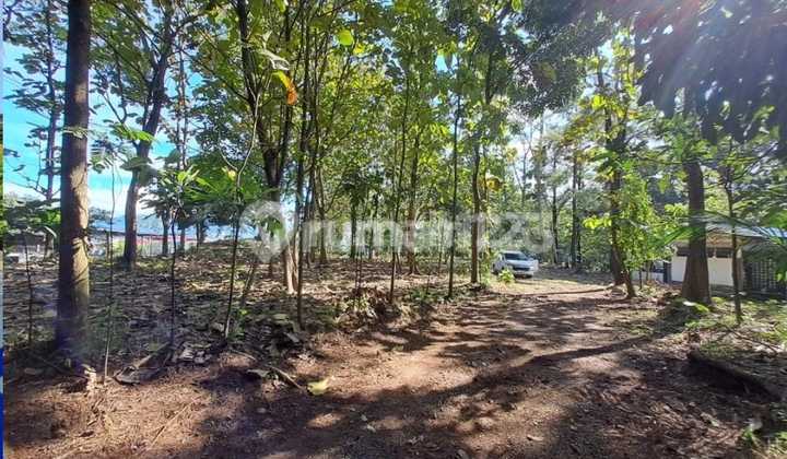 Tanah Murah Strategis Untuk Usaha di Pintu Masuk Kota Subang