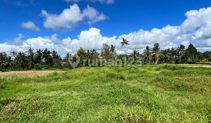 Jual / Sewa For Sale / Rent Tanah Jl.Raya Tegalalang Ubud Bali Jual / Sewa For Sale / Rent Tanah Jl.Raya Tegalalang Ubud Bali
