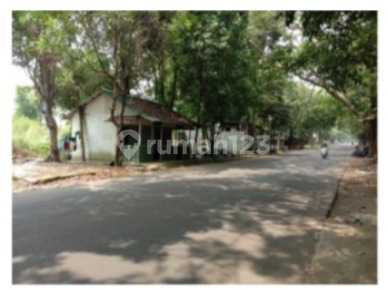 For Sale: Land Plots near Bubulak Terminal, Cibungbulang, Bogor