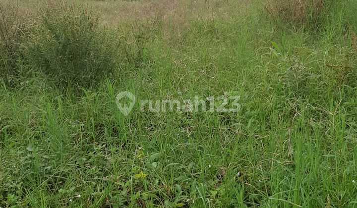 Jual Tanah Lahan Murah Siap Bangun di Banyuresmi Kota Garut