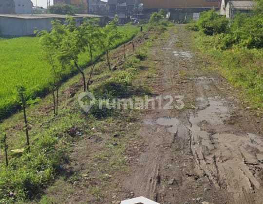 Jual Tanah Luas di Mainroad Terusan Kopo Katapang Bandung Jual Tanah Luas di Mainroad Terusan Kopo Katapang Bandung