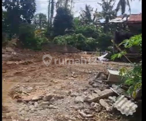 For Sale Land Ready-to-Build Large Plot in Tengkulak Ubud Bali