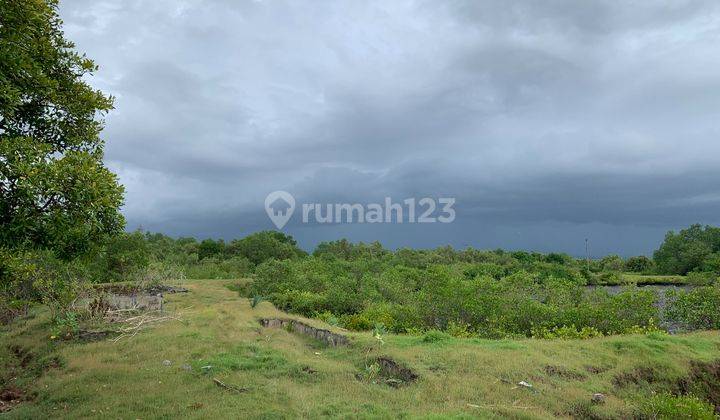 Lahan Bekas Tambak di Desa Budeng, Jembrana 2