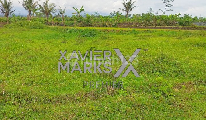 Dijual Tanah Kavling Murah SHM di Mulyorejo Sukun Kota Malang  2