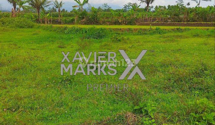Dijual Tanah Kavling Murah SHM di Mulyorejo Sukun Kota Malang  8
