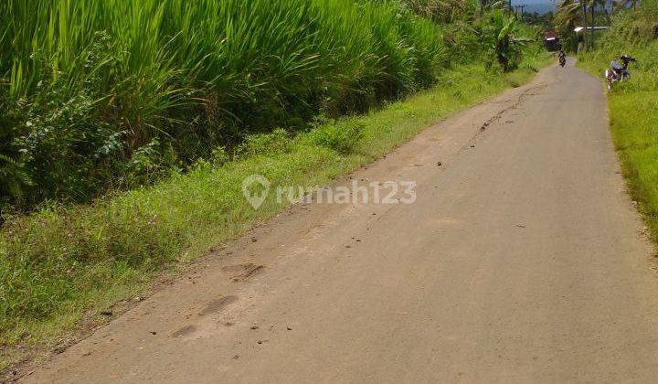 Tanah SHM Cocok Untuk Pabrik Atau Peternakan di Pakisaji Malang 5